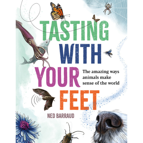 Tasting with Your Feet by Ned Barraud Tasting with Your Feet by Ned Barraud